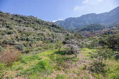 Property of the week