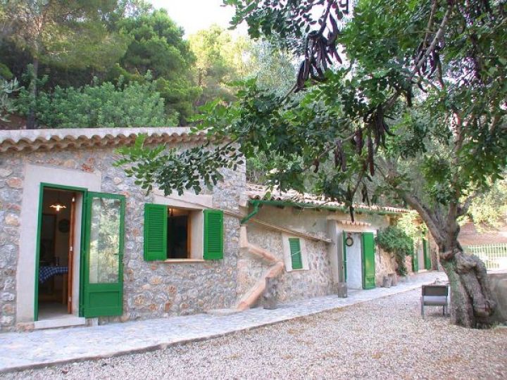 Splendid mountain cottage with olive grove in the area of Sa Figuera in