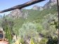 Olive grove with house in quiet location in the valley of Sóller