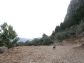 Olive grove with amazing views in Sóller