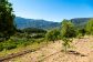 Fantastic Finca with long distance views in the outskirts of Sóller