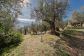 Idyllic Finca with guest house, pool, rental license and panoramic views over Fornalutx