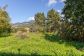 Townhouse with garden in the centre of Sóller