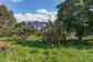 Townhouse with garden in the centre of Sóller