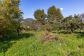 Townhouse with garden in the centre of Sóller