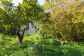 Townhouse with garden in the centre of Sóller