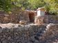 Sunny olive grove in Fornalutx