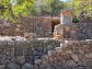 Sunny olive grove in Fornalutx