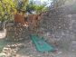 Sunny olive grove in Fornalutx