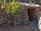 Sunny olive grove in Fornalutx