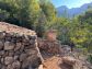 Sunny olive grove in Fornalutx