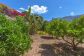 Charming Finca with Pool in outskirts of Sóller