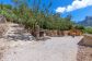 Charming Finca with Pool in outskirts of Sóller