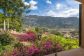 Charming Finca with Pool in outskirts of Sóller