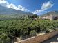 Village House with Garden on the Outskirts of Sóller