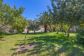 House with pool close to the town centre of Sóller